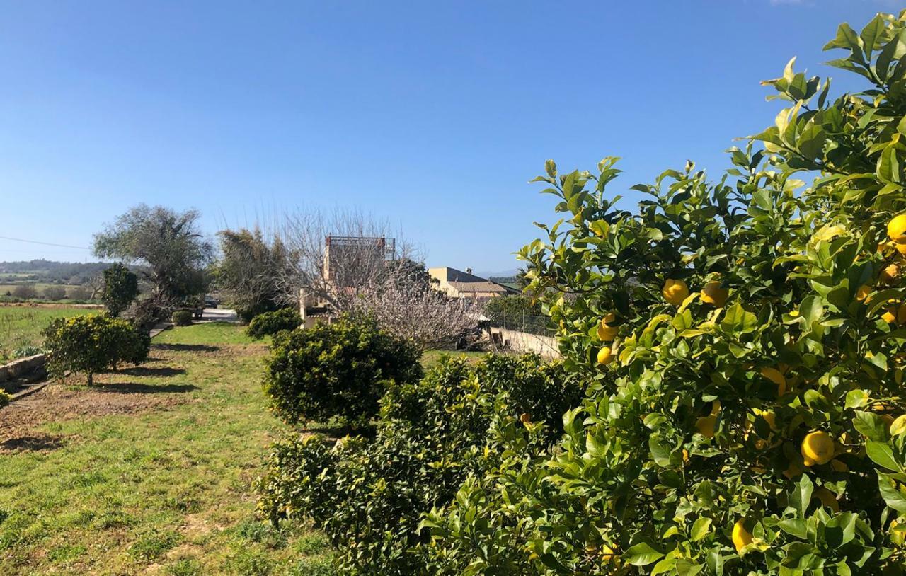 Son Roig ,Beautiful Place In The Heart Of Mallorca -Etv 9979 María de la Salud Kültér fotó