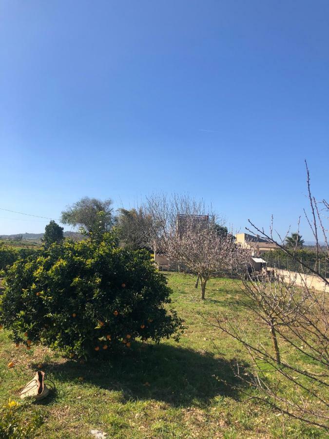 Son Roig ,Beautiful Place In The Heart Of Mallorca -Etv 9979 María de la Salud Kültér fotó